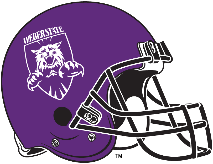 Weber State Wildcats 2006-2011 Helmet Logo vinyl decal